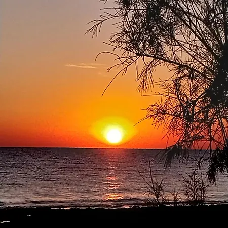 Cyprus Sun Lejlighed Paralimni