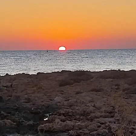 Lejlighed Cyprus Sun *